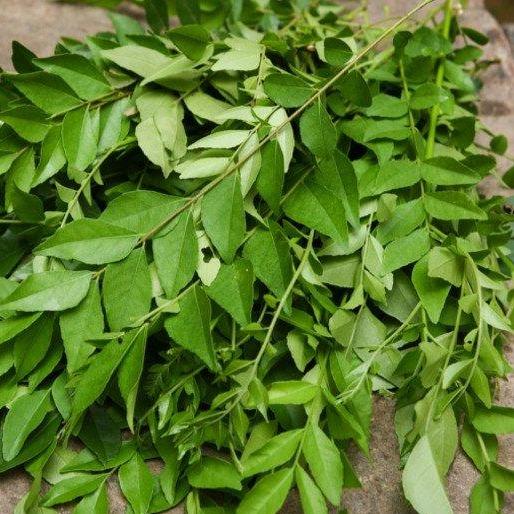Curry Leaves (50gm)