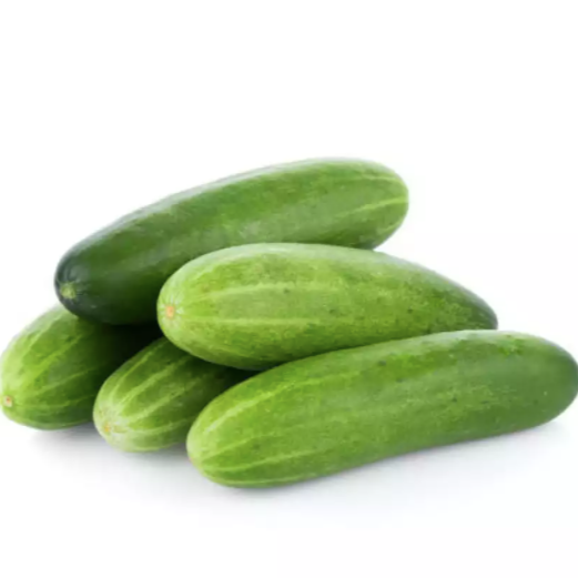 Salad Cucumber